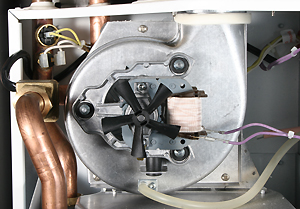 bx pt suprima l inner 2.jpg